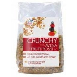 CROUSTILLANT D'AVOINE AUX FRUITS ROUGES BIO