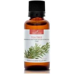 Huile Essentielle Théier 30ml