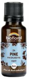 Granules 24 Pine - Pin Sylvestre Bio 19,5 g - Flacon 19,5 g