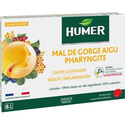 Mal De Gorge Pharyngite Arôme Fruits Rouges 20 Pastilles