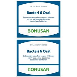 Bacteri 6 Oral