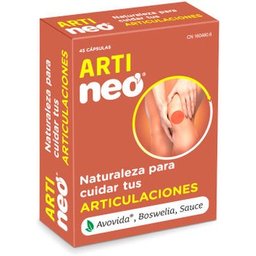 Arti45 Capsules