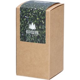 Kit Huile et Brosse à Barbe