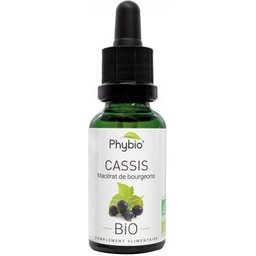 Phybio Cassis Macérat de Bourgeons Bio 30ml