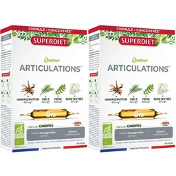 Quatuor Prêle Bio Articulations Ampoule