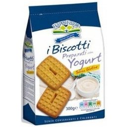 Bisc Yog S/Zucc300G