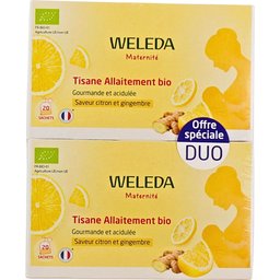 Tisane Allaitement Bio Citron Gingembre 2x20 Sachets
