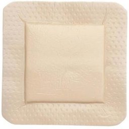 Foam Lite Pans 10X10