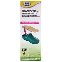 Clog Evo Anat Fourmis Ins Mic39-40