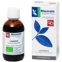 Lavande Plante Fraîche Macérat Bio 50ml