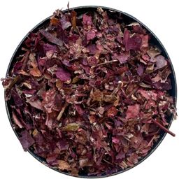 Tisane Vigne rouge feuille (France) Vitis vinifera.