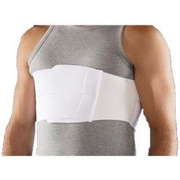 Ceinture de poitrine femelle 2 bandes