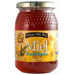 Ynsadiet Miel Eucalipto 500g