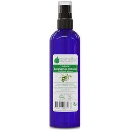 Hydrolat d'Eucalyptus Globulus Cosmos 200 ml