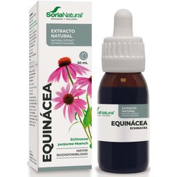 Échinacée Extrait 50ml