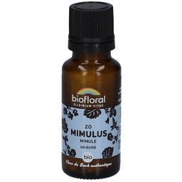 20 Mimulus - Mimule