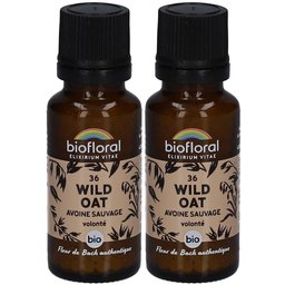 Wild Oat - Avoine Sauvage - Bio