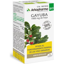 Arkogélules Busserole 45 Gélules
