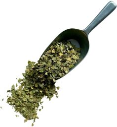 Tisane Desmodium 250 GRS Desmodium adscendens.
