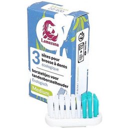 3 Recharges De Brosses Médium