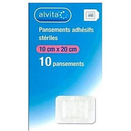 Pans Adh 10X20Cm 10