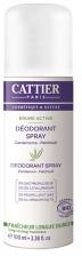 Brume Active - Cardamome - Patchouli - 100 ml - Spray 100 ml