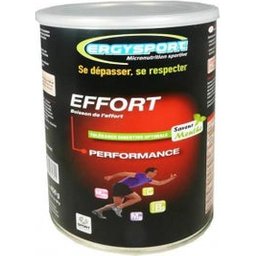 Ergysport Effort Menthe 450G