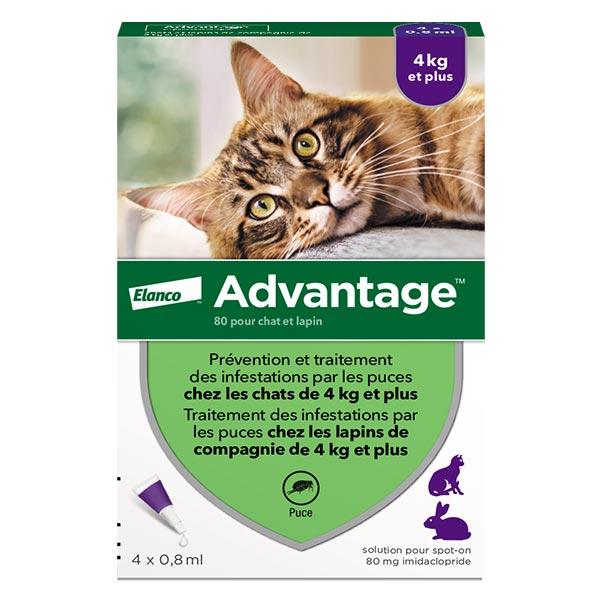 Solution Antipuce Chat Lapin +4kg 4 pipettes
