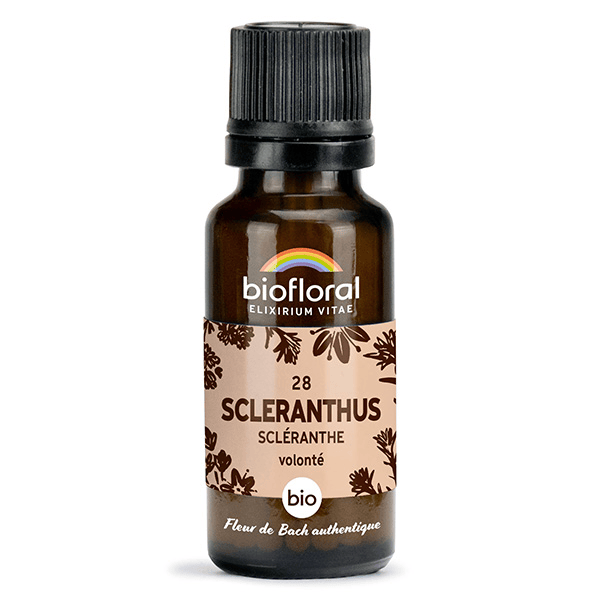 28 Scleranthus Scleranthe Granules Bio Fleur De Bach 19,5 Gr