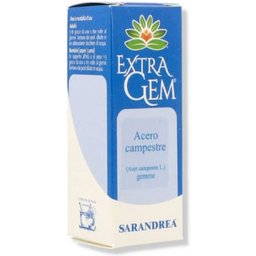 Sarandrea Érable des Champs Gemmes 20ml