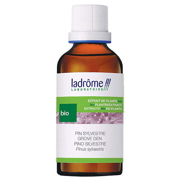 Extrait de plante Pin Sylvestre Aiguilles Bio 50 ml
