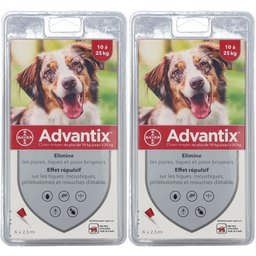 Advantix Chien moyen de 10 kg - 25 kg