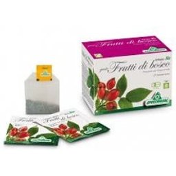Infusion Bio Fruttabosco 20Filt