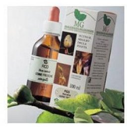 Canneberge Ro 100Ml Mg