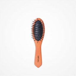Brosse Wood Ovale Petit 1ut