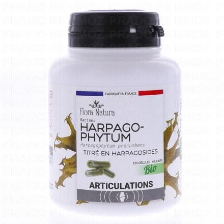 FLORA NATURA Harpagophytum Bio 120 gélules