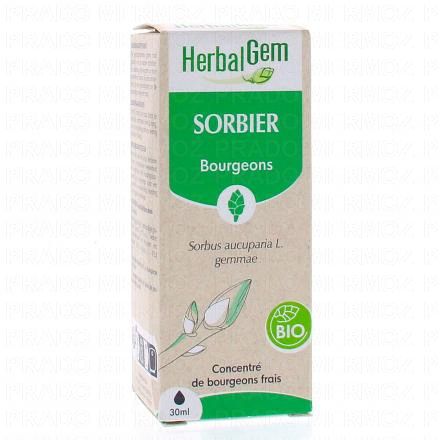 Concentré du bourgeons frais - Sorbier bourgeons Bio 30ml