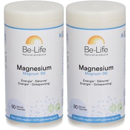 Magnesium Magnum B6