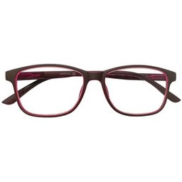 Centauro Brown +3.5 1pc