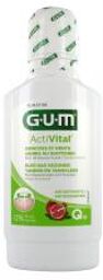 Bain de Bouche Activital® 300 ml - Flacon 300 ml