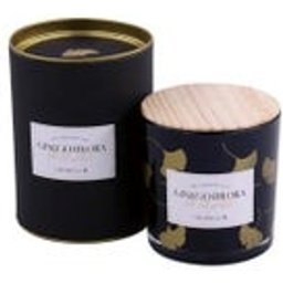 Vela Vaso Ginkvas Ginkgo Biloba 10x10cm 1ud