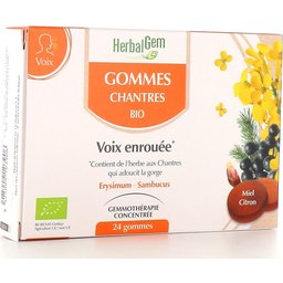 Gommes Chantres Bio 24 Unités