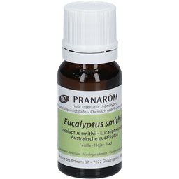 Eucalyptus Smithii Bio Huile Essentielle