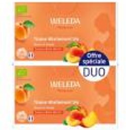Tisane Allaitement Douce et Fruitée Pêche Abricot Bio Lot de 2 x 20 Sachets - Lot