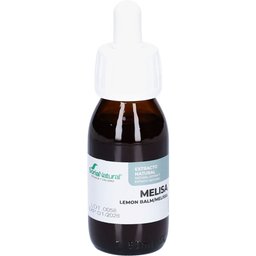 SoriaNatural Melissa officinalis XXI