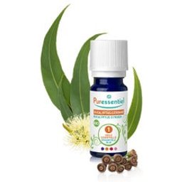 Huile Essentielles Bio Eucalyptus Citronné 10ml