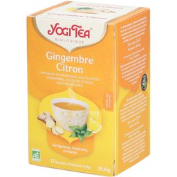 Gingembre Citron – Infusion ayurvédique bio au gingembre et citron
