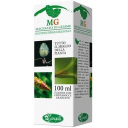 Cassis 100ml
