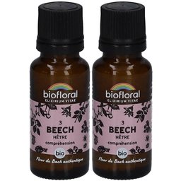 Beech - Hêtre - Bio