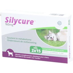 Silycure 160mg